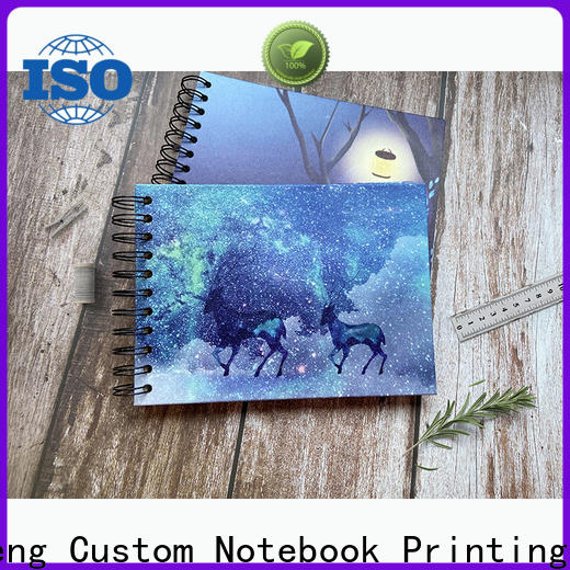 Dezheng Eco Friendly Notebooks Wholesale for business for personal design