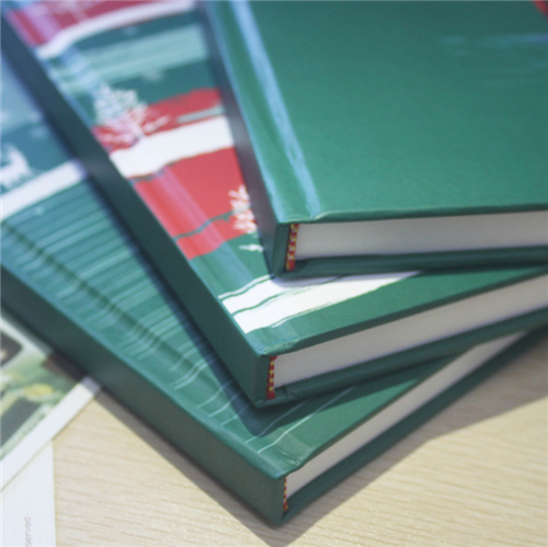 Dezheng notebook hardcover notebooks manufacturers For journal-2