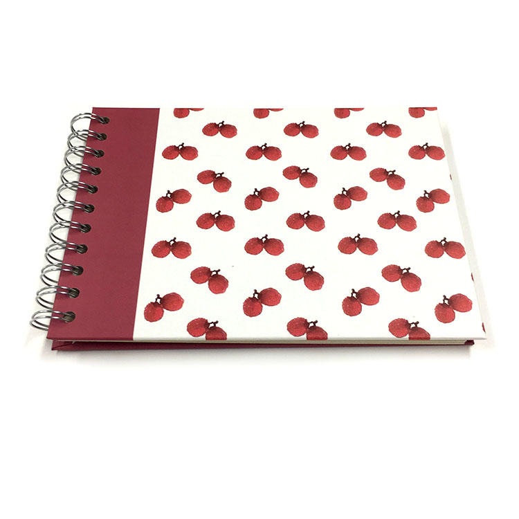 product-Fruit Series Lichi China Red Multicolor Mini 4x6 Inches Spiral Photo Album for Girl-Dezheng--1