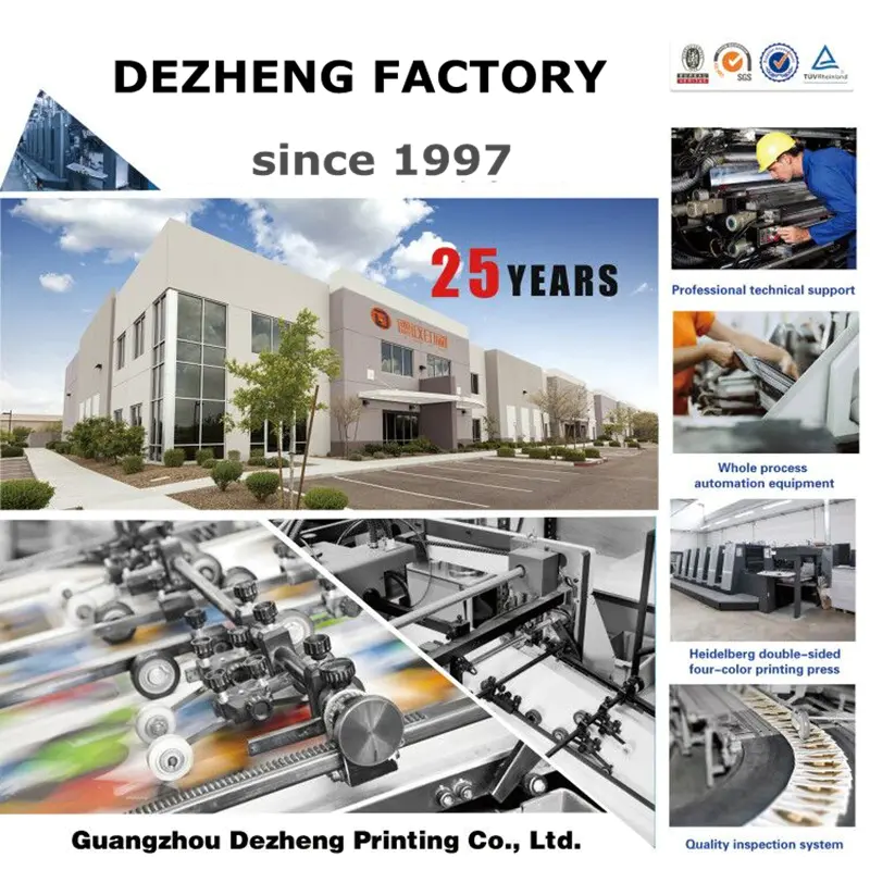 Company and Factory Introudction